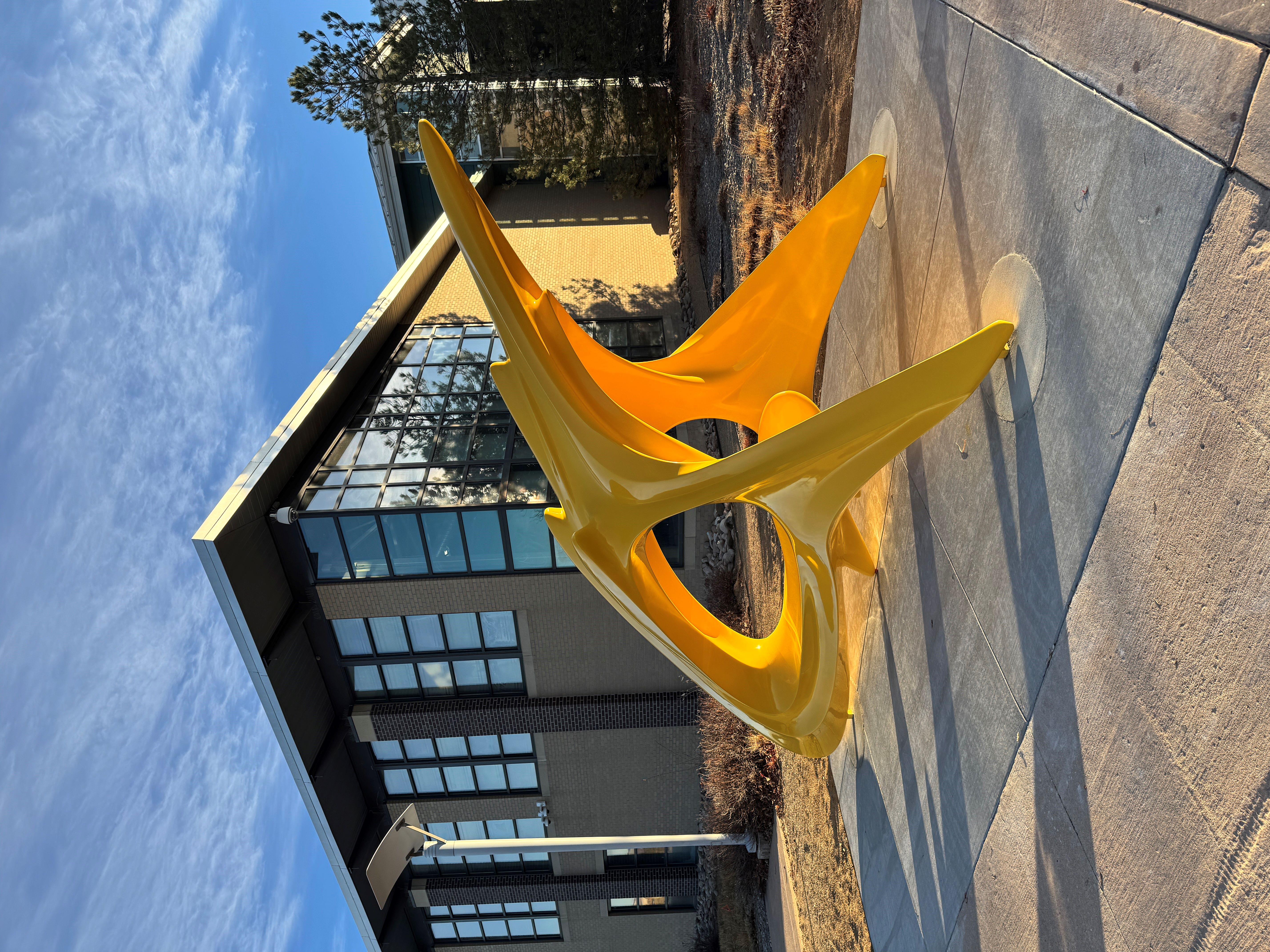 Roger Kotoske's Untitled