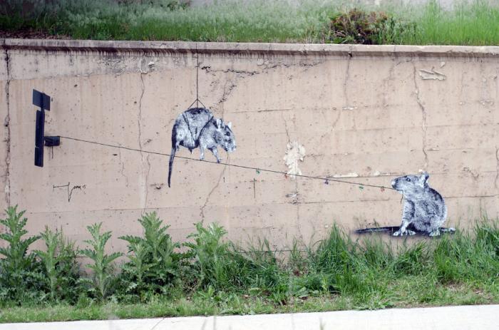 Untitled by Hama Woods