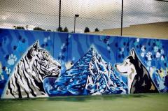 Untitled (white tiger and wolf viewing each other) 