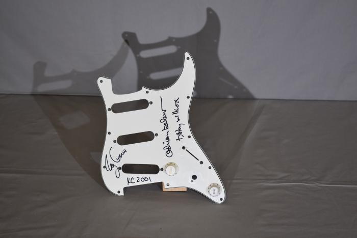 King Crimson Pick Guard 