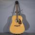 Stevie Nicks Signed Acoustic Guitar 