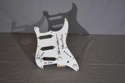 King Crimson Pick Guard 