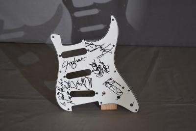 Foghat pick Guard