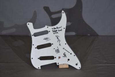 Pick Guard