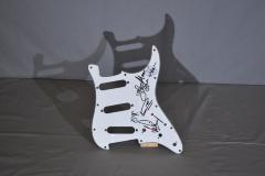 Deep Purple Signed Pick Guard