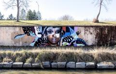 Untitled (female face collage)
