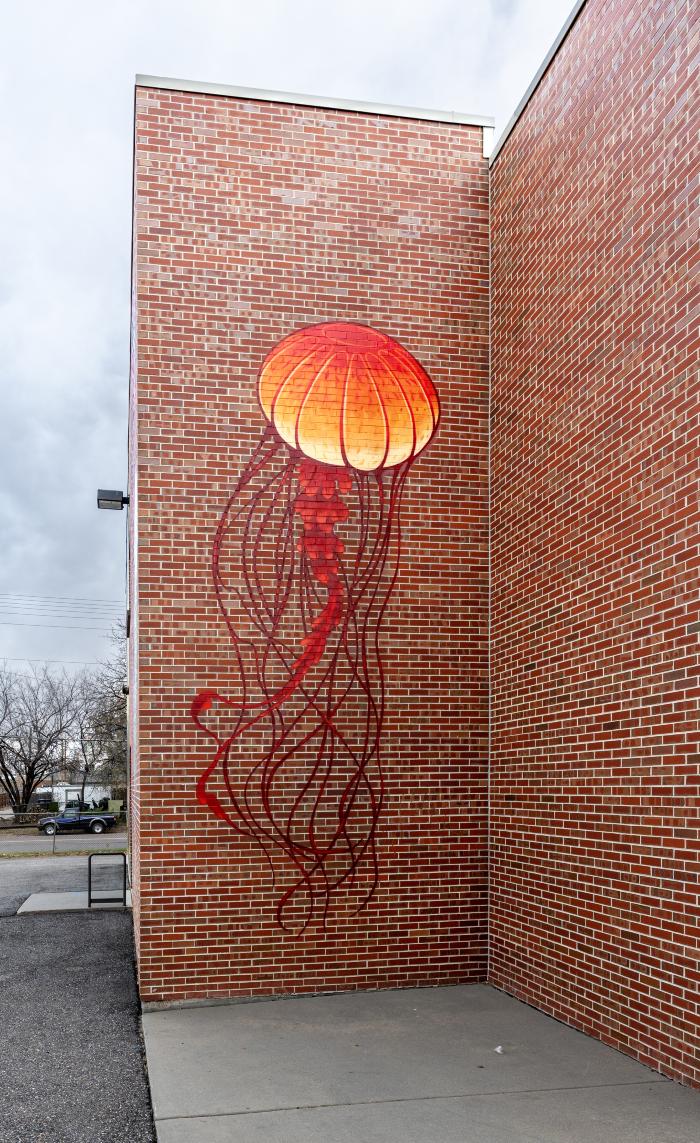 Untitled (several different colored jellyfish)
