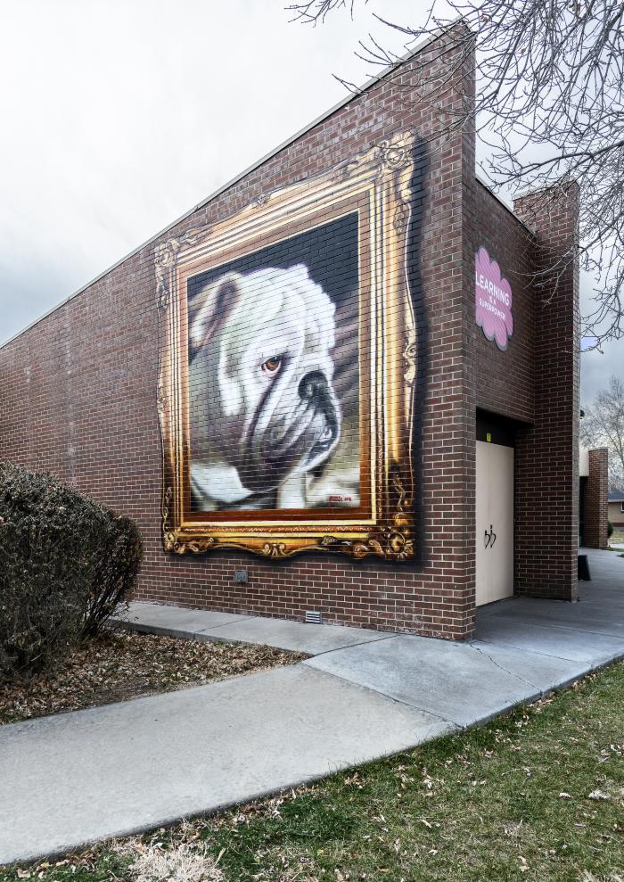 Untitled (portrait of bulldog with gold frame)