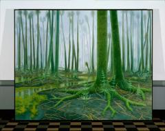 Ancient Colorado; Pole Forest