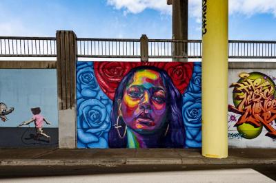 Untitled (girl's face surrounded by red and blue flowers)