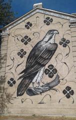 Untitled (black and white falcon)