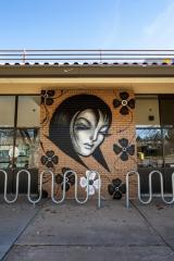 Untitled (image of women's face with flowers around her)