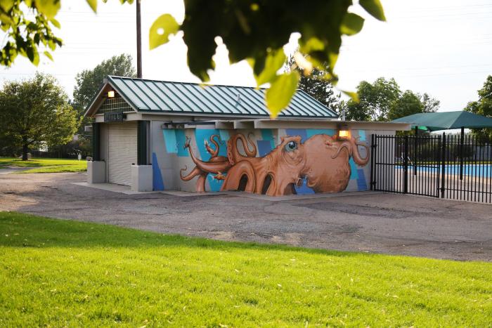 Giant Pacific Octopus