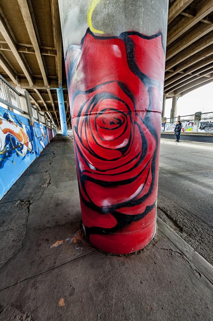 Untitled (red rose on column)