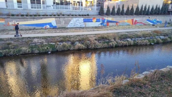 Untitled (flora and fauna of Colorado)