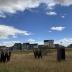 Wind Gates Art Suite: Beyond the Plains