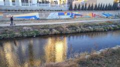 Untitled (flora and fauna of Colorado)