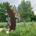 Grasslands/Shrublands