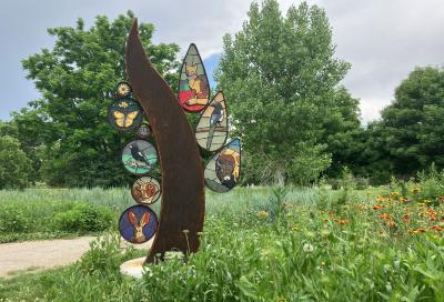 Grasslands/Shrublands