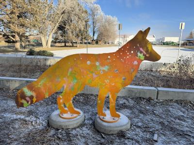 Constellations: Fox (Vulpecula)