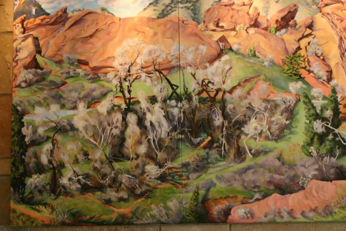 Red Rocks Park; Gorge and Creek